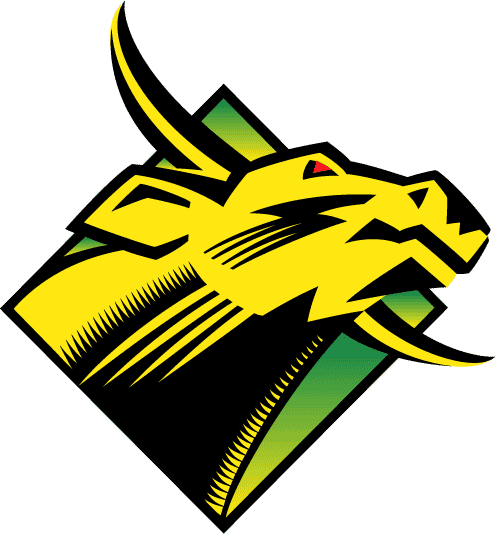 South Florida Bulls 1997-2002 Primary Logo iron on transfers for clothing